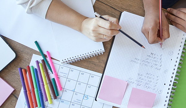 Behavior support planning